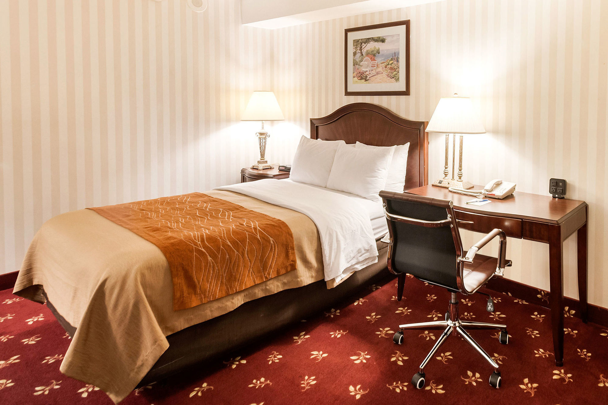 Comfort Shady Grove - - Rockville 3* Gaithersburg