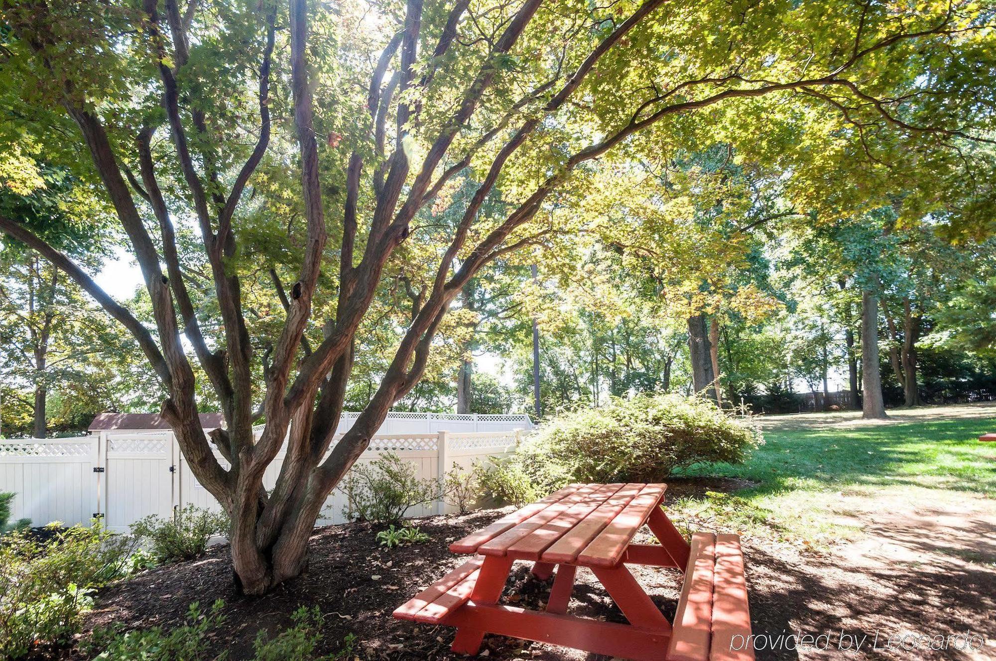 Inn Comfort Shady Grove - - Rockville